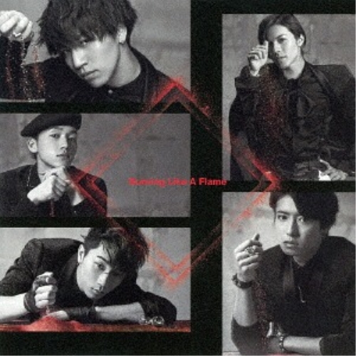 【送料無料】 CD/龍雅/Burning Like A Flame (CD+DVD)/AVCD-83751