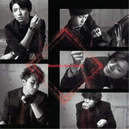 【送料無料】 CD/龍雅/Burning Like A Flame/AVCD-83752
