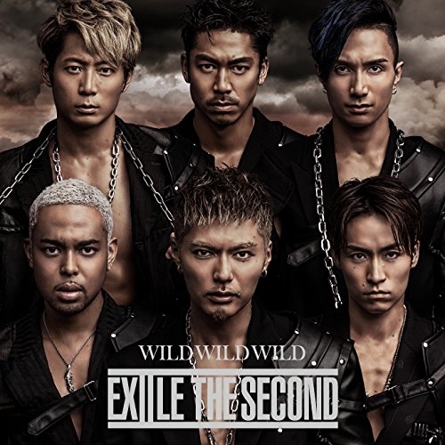 【送料無料】 CD/EXILE THE SECOND/WILD WILD WILD (CD+DVD)/RZCD-86176