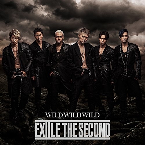 【送料無料】 CD/EXILE THE SECOND/WILD WILD WILD/RZCD-86177