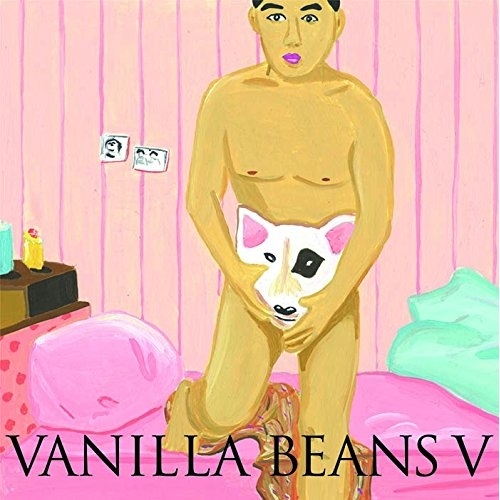 【送料無料】 CD/バニラビーンズ/バニラビーンズV (CD+DVD) (初回生産限定盤)/AVCD-93324