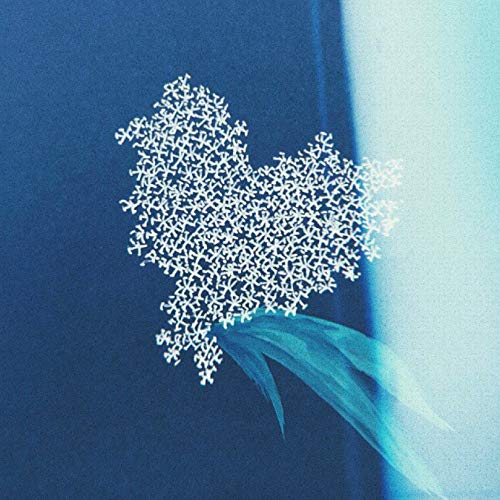 【送料無料】 CD/大塚愛/ドラセナ (通常盤)/AVCD-94141