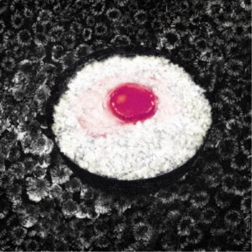 【送料無料】 CD/大森靖子/大森靖子 (3CD+Blu-ray) (ごはん盤)/AVCD-96381