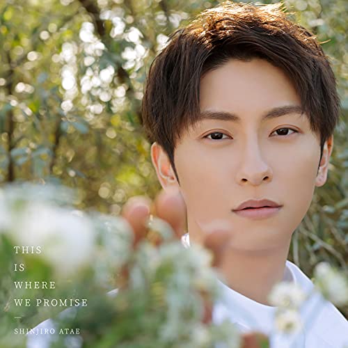 CD / SHINJIRO ATAE(from AAA) / THIS IS WHERE WE PROMISE (CD(スマプラ対応)) (通常盤) / AVCD-96691
