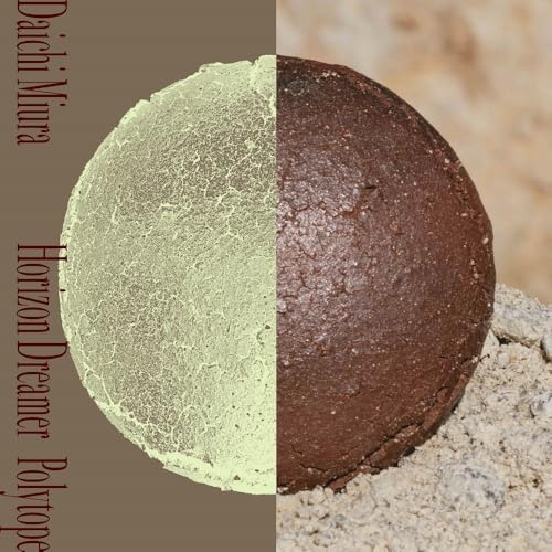 CD / 三浦大知 / Horizon Dreamer/Polytope / AVCD-98182