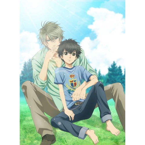【送料無料】 DVD/TVアニメ/SUPER LOVERS 第1巻 (DVD+CD) (限定版)/KABA-10473