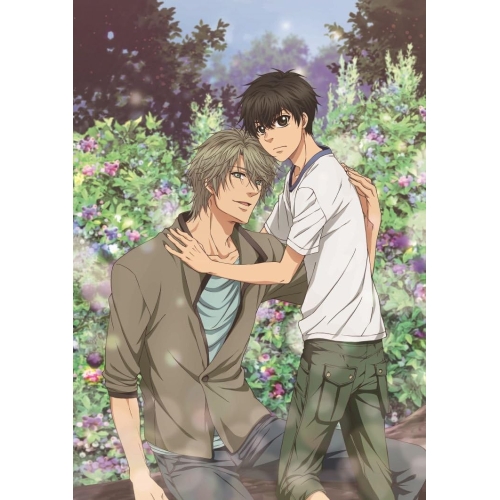 【送料無料】 BD/TVアニメ/SUPER LOVERS 2 第1巻(Blu-ray) (Blu-ray+CD) (限定版)/KAXA-7471