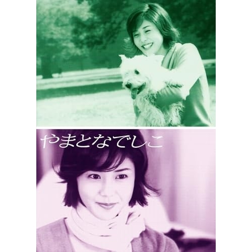 DVD / 国内TVドラマ / やまとなでしこ DVD-BOX / PCBC-61810